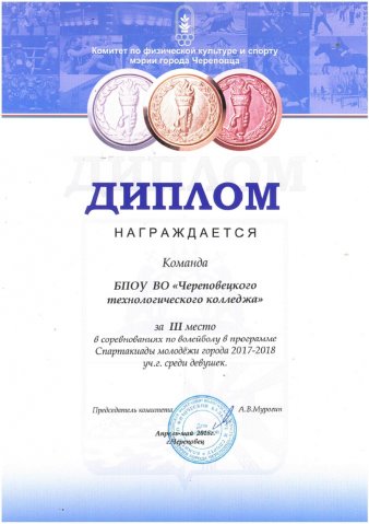 3 место по волейболу среди девушек