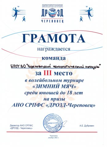 3 место, зимний мяч