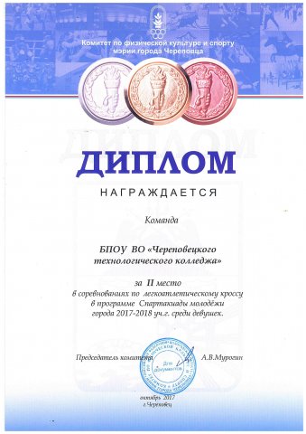 2 место в соревнованиях по легкоатлетическому кроссу