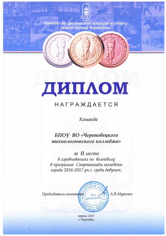 2 место по волейболу